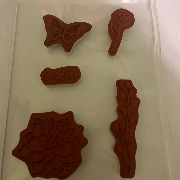 Stampin' Up! Nature's Perfection Stamp Set - Black - Picture 2 of 2